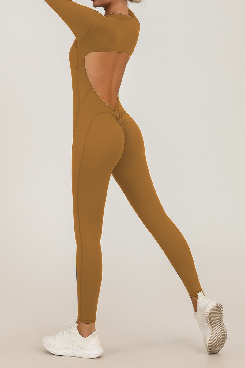 Fall and Winter New Style Zipper Long Sleeve Sheer Yoga Jumpsuit for Women, Daily Fitness and Exercise Full-Length Pants